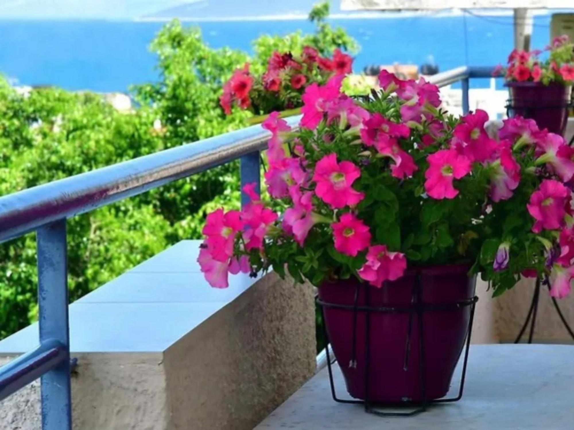 Konstantinos Apartments Толо Екстер'єр фото